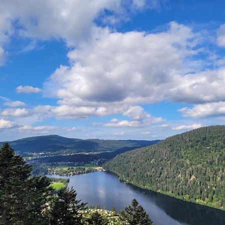 Maison Chaleureuse La Meybel La Bresse Kültér fotó