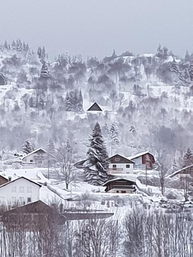 Maison Chaleureuse La Meybel La Bresse Kültér fotó