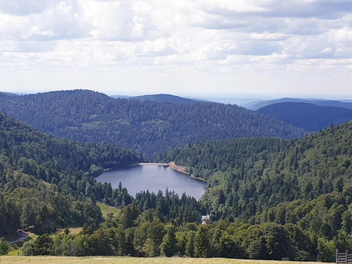 Maison Chaleureuse La Meybel La Bresse Kültér fotó