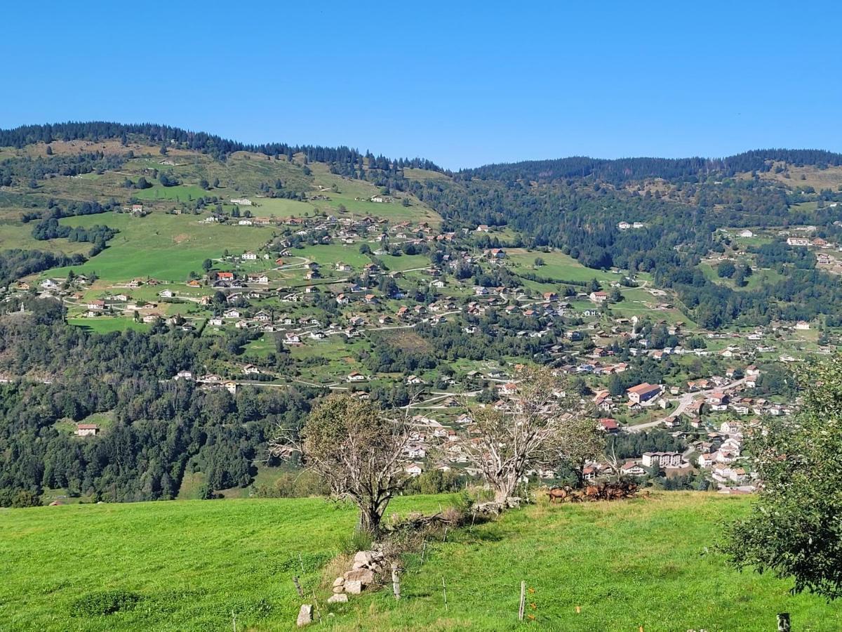 Maison Chaleureuse La Meybel La Bresse Kültér fotó